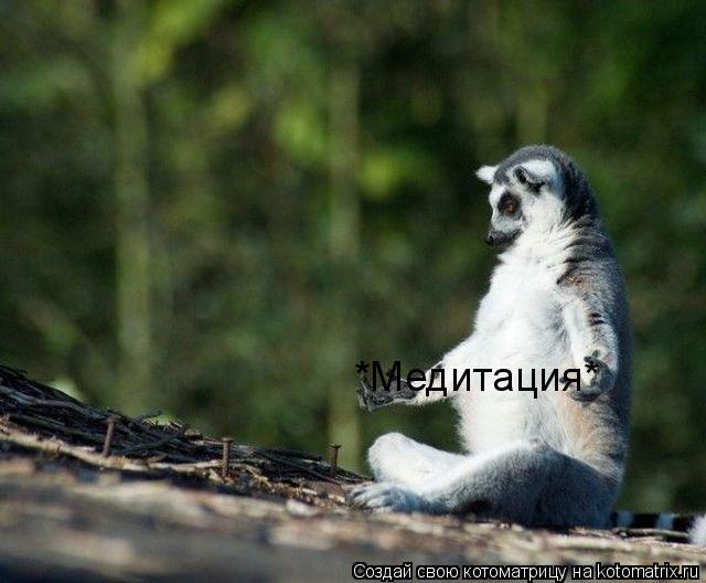 *Медитация*... Котоматрица: *Медитация*