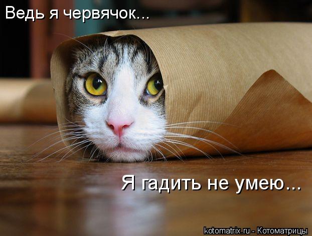 Ведь я червячок... Я гадить не умею...... Котоматрица: Ведь я червячок... Я гадить не умею...