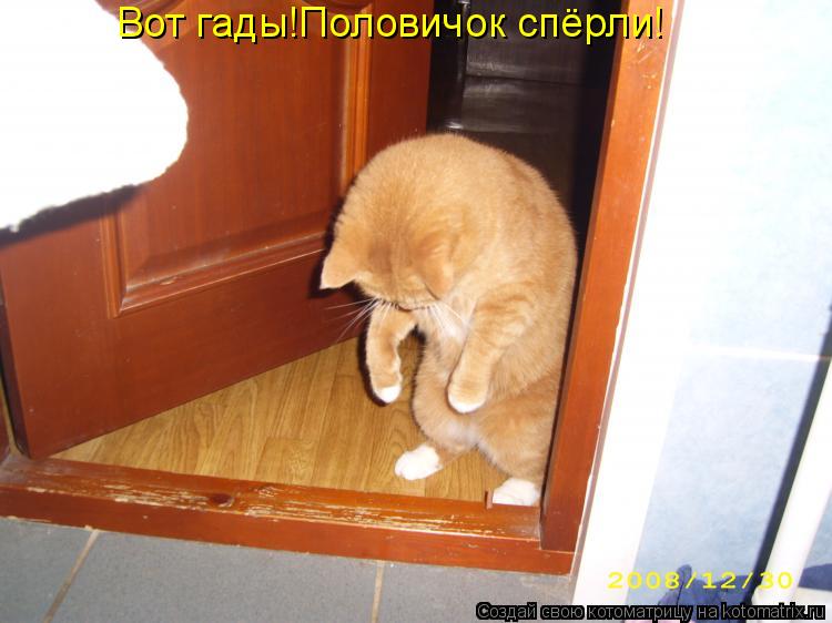 Котоматрица: Вот гады!Половичок спёрли!
