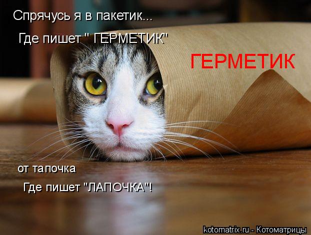 Спрячусь я в пакетик... Где пишет " ГЕРМЕТИК" ГЕРМЕТИК от тапочка Где пишет "ЛАПОЧКА"!... Котоматрица: Спрячусь я в пакетик... Где пишет " ГЕРМЕТИК" ГЕРМЕТИК от тапочка Где пишет "ЛАПОЧКА"!