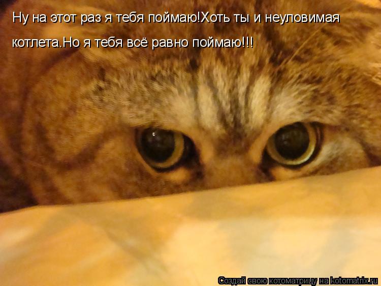 Ну на этот раз я тебя поймаю!Хоть ты и неуловимая котлета.Но я тебя всё равно поймаю!!!... Котоматрица: Ну на этот раз я тебя поймаю!Хоть ты и неуловимая котлета.Но я тебя всё равно поймаю!!!