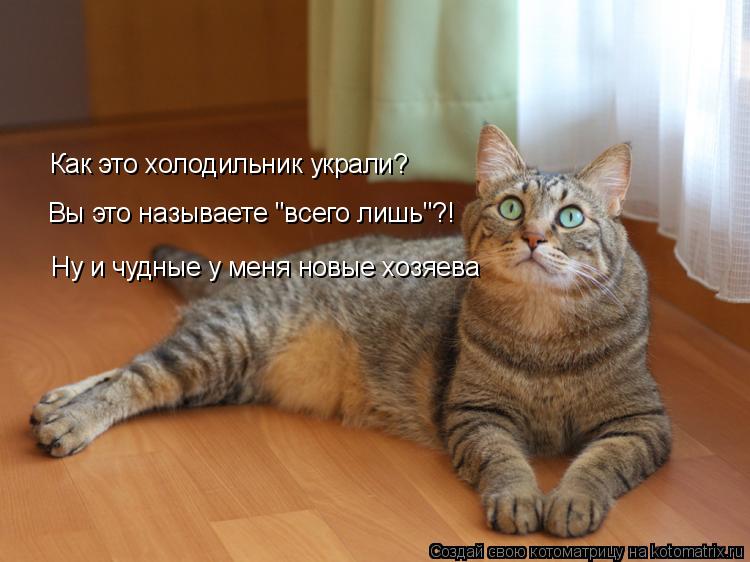 Как это холодильник украли? Вы это называете "всего лишь"?! Ну и чудные у меня новые хозяева... Котоматрица: Как это холодильник украли? Вы это называете "всего лишь"?! Ну и чудные у меня новые хозяева