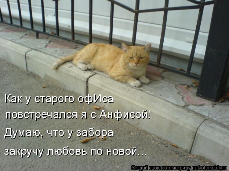 Как у старого офИса повстречался я с Анфисой! Думаю, что у забора закручу любовь по новой...... Котоматрица: Как у старого офИса повстречался я с Анфисой! Думаю, что у забора закручу любовь по новой...