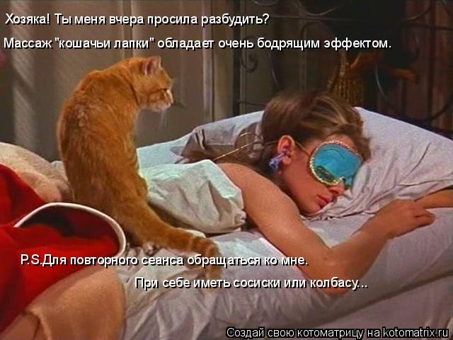 Хозяка! Ты меня вчера просила разбудить? Массаж "кошачьи лапки" обладает очень бодрящим эффектом. P.S... Котоматрица: Хозяка! Ты меня вчера просила разбудить? Массаж "кошачьи лапки" обладает очень бодрящим эффектом. P.S.Для повторного сеанса обращаться ко мне