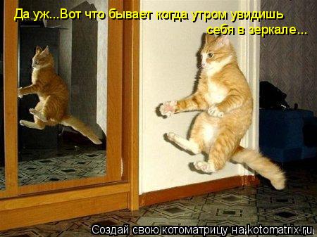 Да уж...Вот что бывает когда утром увидишь себя в зеркале...... Котоматрица: Да уж...Вот что бывает когда утром увидишь себя в зеркале...