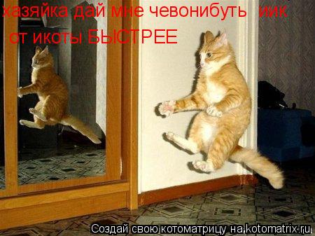 хазяйка дай мне чевонибуть иик от икоты БЫСТРЕЕ... Котоматрица: хазяйка дай мне чевонибуть иик от икоты БЫСТРЕЕ