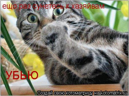 ещо раз сунетесь к хазяйвам УБЬЮ... Котоматрица: ещо раз сунетесь к хазяйвам УБЬЮ