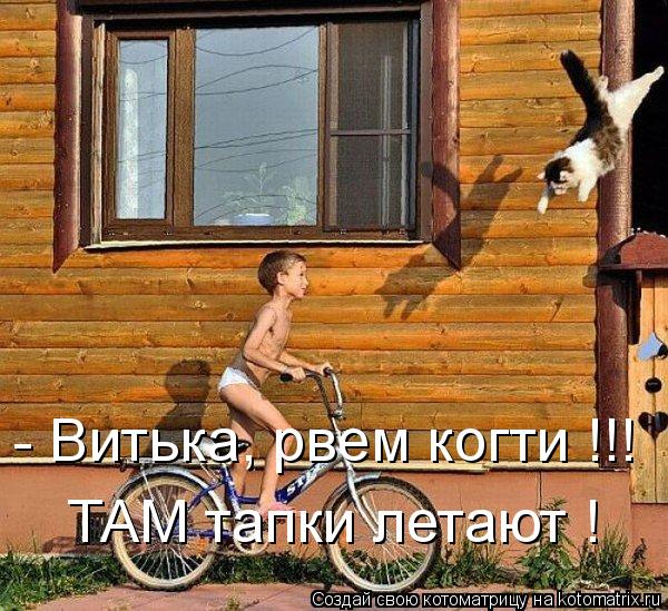 Котоматрица: - Витька, рвем когти !!! ТАМ тапки летают !