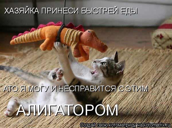 ХАЗЯЙКА ПРИНЕСИ БЫСТРЕЙ ЕДЫ АТО Я МОГУ И НЕСПРАВИТСЯ С ЭТИМ АЛИГАТОРОМ... Котоматрица: ХАЗЯЙКА ПРИНЕСИ БЫСТРЕЙ ЕДЫ АТО Я МОГУ И НЕСПРАВИТСЯ С ЭТИМ АЛИГАТОРОМ