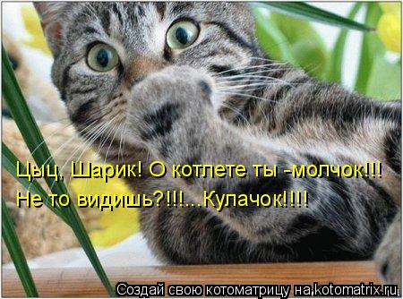 Цыц, Шарик! О котлете ты -молчок!!! Не то видишь?!!!...Кулачок!!!!... Котоматрица: Цыц, Шарик! О котлете ты -молчок!!! Не то видишь?!!!...Кулачок!!!!