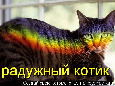 радужный котик... Котоматрица: радужный котик