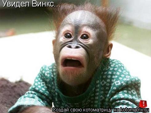Увидел Винкс...... Котоматрица: Увидел Винкс...