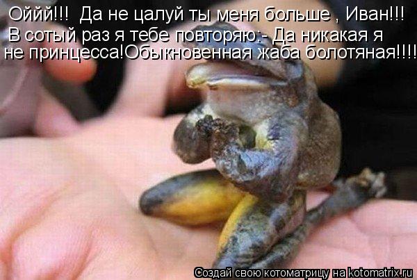 Оййй!!! Да не цалуй ты меня больше , Иван!!! В сотый раз я тебе повторяю:- Да никакая я не принцесса... Котоматрица: Оййй!!! Да не цалуй ты меня больше , Иван!!! В сотый раз я тебе повторяю:- Да никакая я не принцесса!Обыкновенная жаба болотяная!!!!!