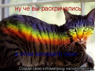 ну че вы раскричались в этом виновато окно... Котоматрица: ну че вы раскричались в этом виновато окно