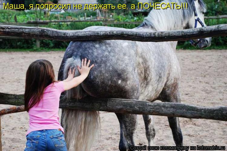 Маша, я попросил не держать ее, а ПОЧЕСАТЬ!!!... Котоматрица: Маша, я попросил не держать ее, а ПОЧЕСАТЬ!!!