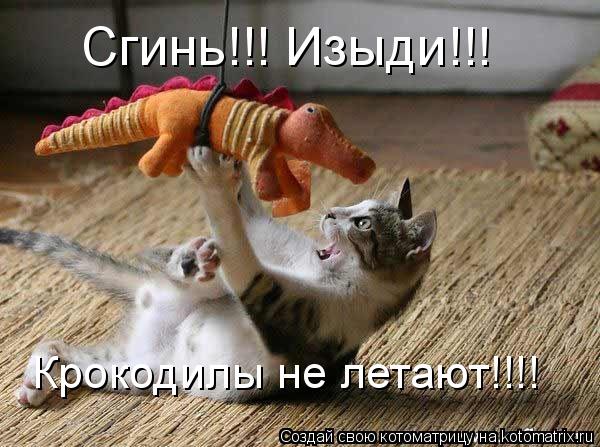 Сгинь!!! Изыди!!! Крокодилы не летают!!!!... Котоматрица: Сгинь!!! Изыди!!! Крокодилы не летают!!!!