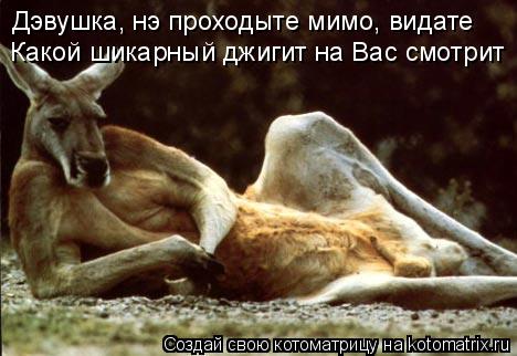 Дэвушка, нэ проходыте мимо, видате Какой шикарный джигит на Вас смотрит... Котоматрица: Дэвушка, нэ проходыте мимо, видате Какой шикарный джигит на Вас смотрит