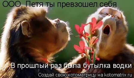 ООО, Петя ты превзошел себя В прошлый раз была бутылка водки... Котоматрица: ООО, Петя ты превзошел себя В прошлый раз была бутылка водки