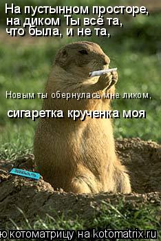 На пустынном просторе, на диком Ты всё та, что была, и не та, Новым ты обернулась мне ликом, сигаре... Котоматрица: На пустынном просторе, на диком Ты всё та, что была, и не та, Новым ты обернулась мне ликом, сигаретка крученка моя