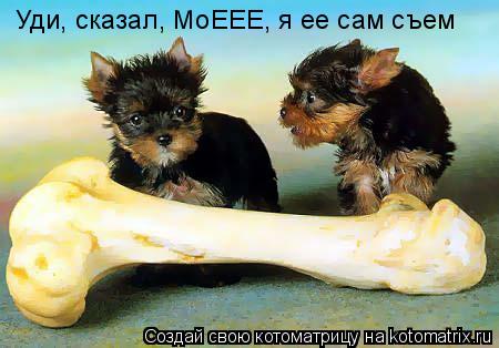 Уди, сказал, МоЕЕЕ, я ее сам съем... Котоматрица: Уди, сказал, МоЕЕЕ, я ее сам съем