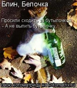 Блин, Белочка Просили сходить за бутылочкой - А не выпить бутылочку...... Котоматрица: Блин, Белочка Просили сходить за бутылочкой - А не выпить бутылочку...