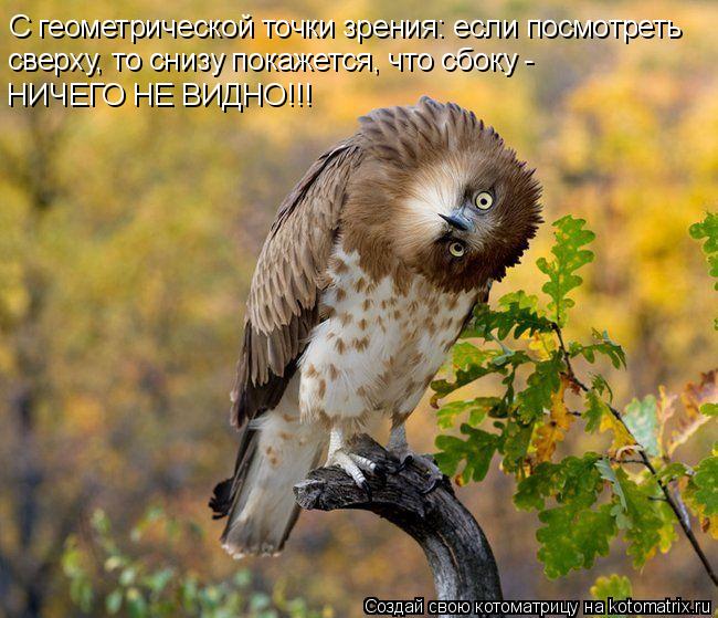 С геометрической точки зрения: если посмотреть сверху, то снизу покажется, что сбоку - НИЧЕГО НЕ ВИ... Котоматрица: С геометрической точки зрения: если посмотреть сверху, то снизу покажется, что сбоку - НИЧЕГО НЕ ВИДНО!!!