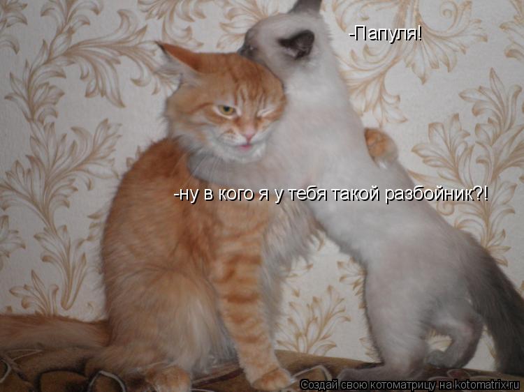 -Папуля! -ну в кого я у тебя такой разбойник?!... Котоматрица: -Папуля! -ну в кого я у тебя такой разбойник?!
