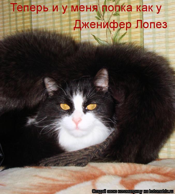 Теперь и у меня попка как у Дженифер Лопез... Котоматрица: Теперь и у меня попка как у Дженифер Лопез