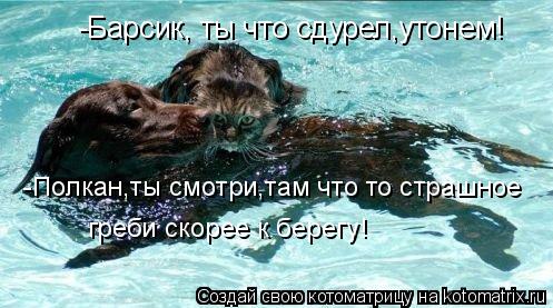 -Барсик, ты что сдурел,утонем! -Полкан,ты смотри,там что то страшное греби скорее к берегу!... Котоматрица: -Барсик, ты что сдурел,утонем! -Полкан,ты смотри,там что то страшное греби скорее к берегу!