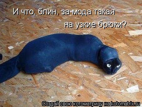 И что, блин, за мода такая на узкие брюки?... Котоматрица: И что, блин, за мода такая на узкие брюки?