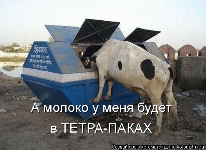 А молоко у меня будет в ТЕТРА-ПАКАХ... Котоматрица: А молоко у меня будет в ТЕТРА-ПАКАХ