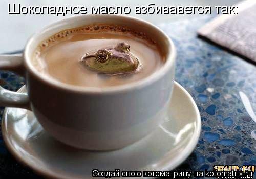 Шоколадное масло взбивавется так:... Котоматрица: Шоколадное масло взбивавется так: