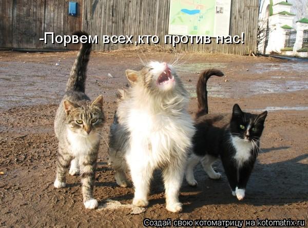 -Порвем всех,кто против нас!... Котоматрица: -Порвем всех,кто против нас!