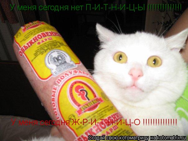 У меня сегодня нет П-И-Т-Н-И-Ц-Ы !!!!!!!!!!!!!! У меня сегодня Ж-Р-И-Т-Н-И-Ц-О !!!!!!!!!!!!!!... Котоматрица: У меня сегодня нет П-И-Т-Н-И-Ц-Ы !!!!!!!!!!!!!! У меня сегодня Ж-Р-И-Т-Н-И-Ц-О !!!!!!!!!!!!!!