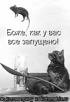 Боже, как у вас все запущено!... Котоматрица: Боже, как у вас все запущено!