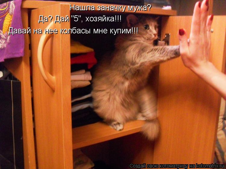 Нашла заначку мужа? Да? Дай "5", хозяйка!!! Давай на нее колбасы мне купим!!!... Котоматрица: Нашла заначку мужа? Да? Дай "5", хозяйка!!! Давай на нее колбасы мне купим!!!