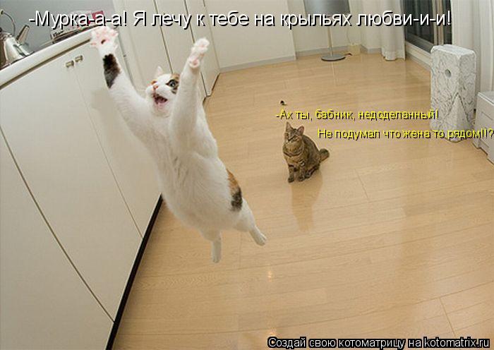 -Мурка-а-а! Я лечу к тебе на крыльях любви-и-и! -Ах ты, бабник, недоделанный! Не подумал что жена то... Котоматрица: -Мурка-а-а! Я лечу к тебе на крыльях любви-и-и! -Ах ты, бабник, недоделанный! Не подумал что жена то рядом!!?