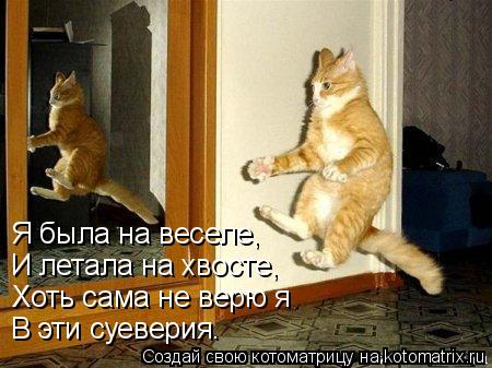 Я была на веселе, И летала на хвосте, Хоть сама не верю я В эти суеверия.... Котоматрица: Я была на веселе, И летала на хвосте, Хоть сама не верю я В эти суеверия.
