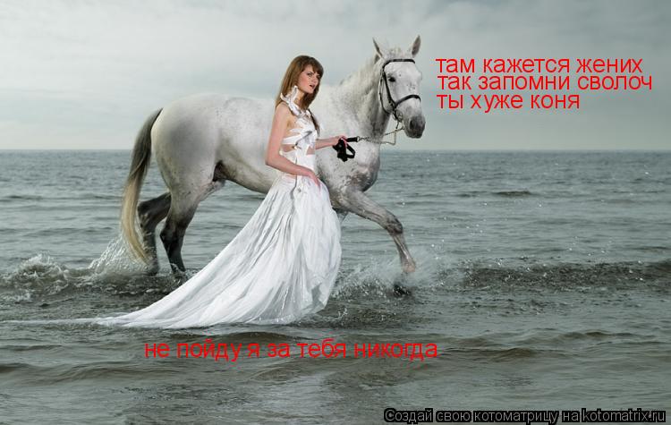 там кажется жених так запомни сволоч ты хуже коня не пойду я за тебя никогда... Котоматрица: там кажется жених так запомни сволоч ты хуже коня не пойду я за тебя никогда