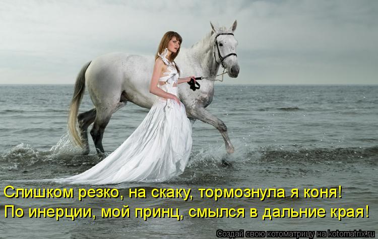 Котоматрица: Слишком резко, на скаку, тормознула я коня!  По инерции, мой принц, смылся в дальние края!
