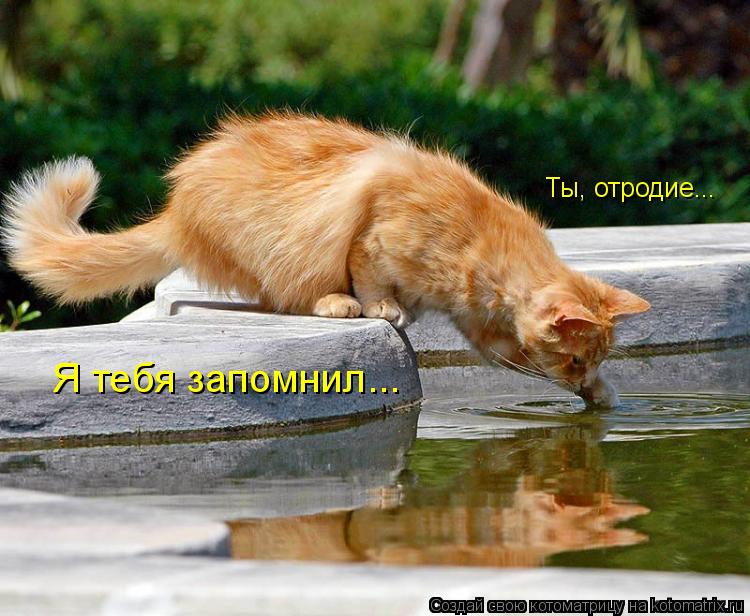 Ты, отродие... Я тебя запомнил...... Котоматрица: Ты, отродие... Я тебя запомнил...