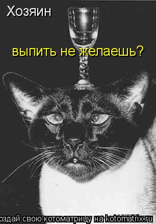 Хозяин выпить не желаешь?... Котоматрица: Хозяин выпить не желаешь?