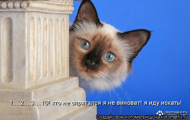 1....2....3....10! кто не спрятался я не виноват! я иду искать!... Котоматрица: 1....2....3....10! кто не спрятался я не виноват! я иду искать!