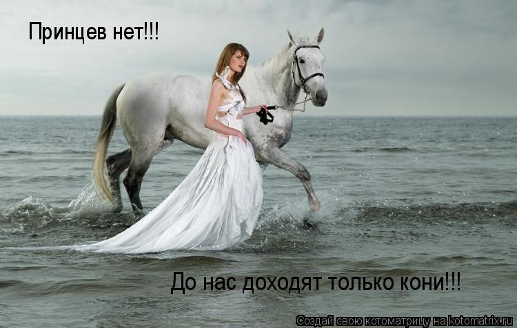Принцев нет!!! До нас доходят только кони!!!... Котоматрица: Принцев нет!!! До нас доходят только кони!!!