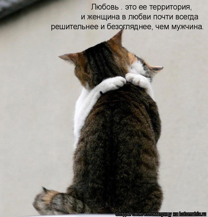 «Любовь — это ее территория, и женщина в любви почти всегда решительнее и безогляднее, чем мужчина.... Котоматрица: «Любовь — это ее территория, и женщина в любви почти всегда решительнее и безогляднее, чем мужчина.»