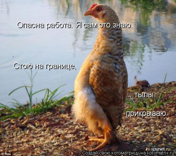 Опасна работа. Я сам это знаю. Стою на границе, ...тылы прикрываю ...тылы прикрываю... Котоматрица: Опасна работа. Я сам это знаю. Стою на границе, ...тылы прикрываю ...тылы прикрываю