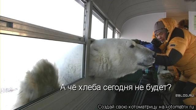 А чё хлеба сегодня не будет?... Котоматрица: А чё хлеба сегодня не будет?