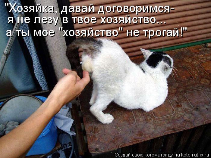 "Хозяйка, давай договоримся- я не лезу в твое хозяйство... а ты мое "хозяйство" не трогай!"... Котоматрица: "Хозяйка, давай договоримся- я не лезу в твое хозяйство... а ты мое "хозяйство" не трогай!"