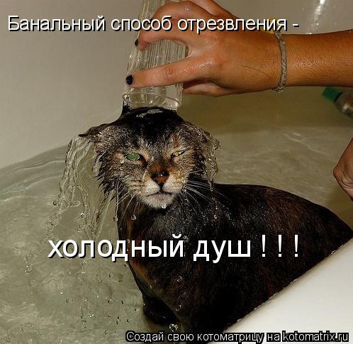 Банальный способ отрезвления - холодный душ ! ! !... Котоматрица: Банальный способ отрезвления - холодный душ ! ! !