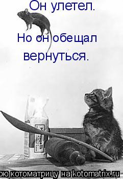 Он улетел. Но он обещал вернуться.... Котоматрица: Он улетел. Но он обещал вернуться.